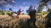 Witcher 3: Wild Hunt, The: 75871_DtkdrxqZuD_image_the_witcher_3_wild_hunt_25.jpg