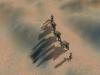 Dungeon Siege: DesertCaravan.jpg